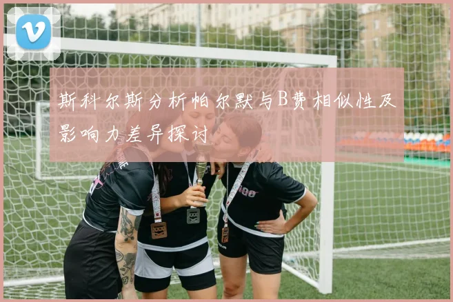 斯科尔斯分析帕尔默与B费相似性及影响力差异探讨